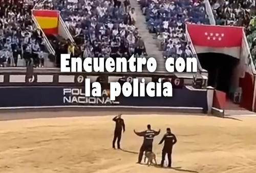 🚓🐕 Exhibición de la Policía: aprendizaje y seguridad en acción